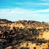 Review photo of Indian Cove Campground — Joshua Tree National Park by robherr , September 13, 2018