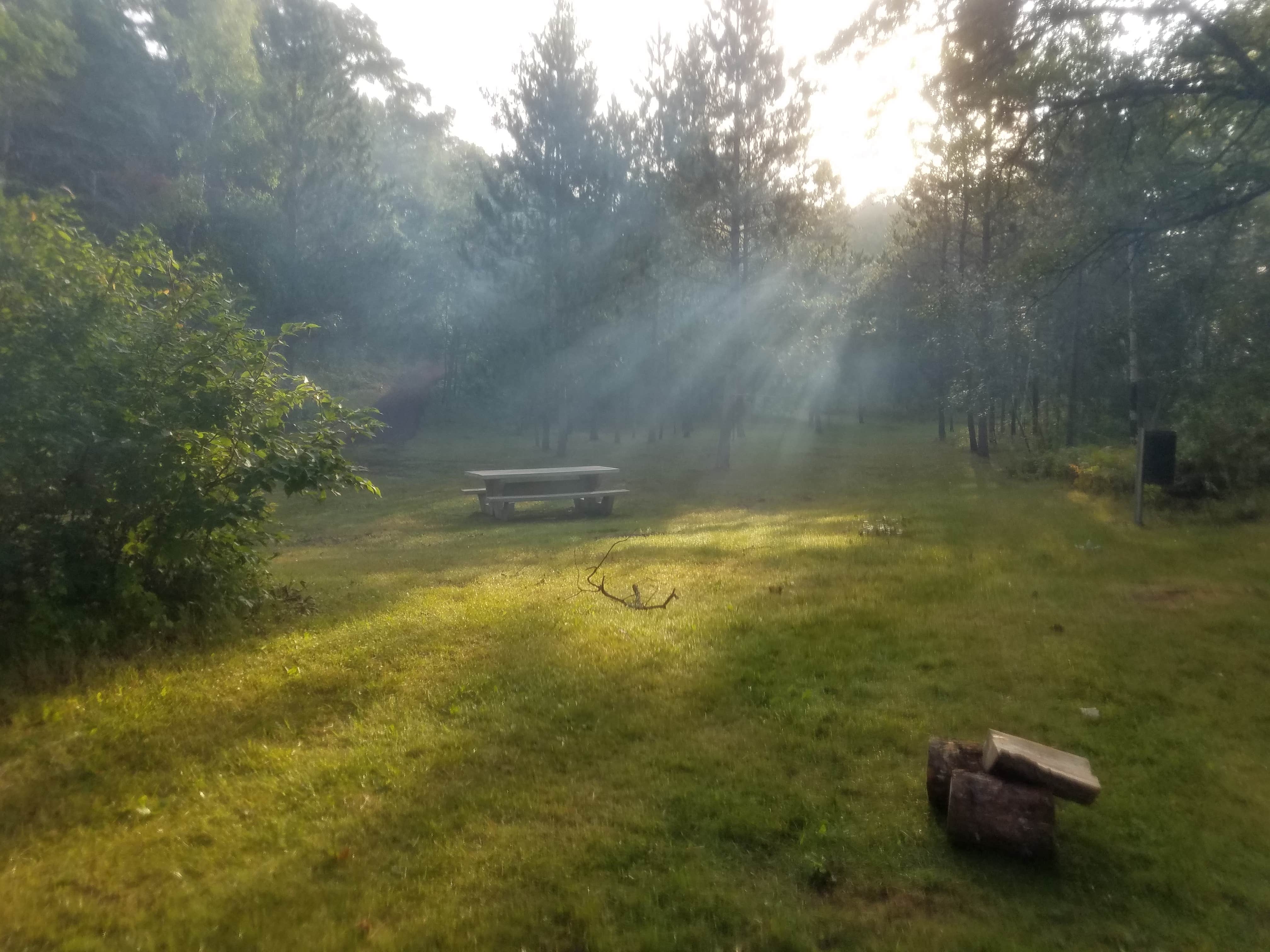 Camper-submitted photo at Baxter Canoe Camp near Aitkin, MN