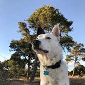 Review photo of East Ridge Campground in Royal Gorge by Sondra M., September 14, 2018