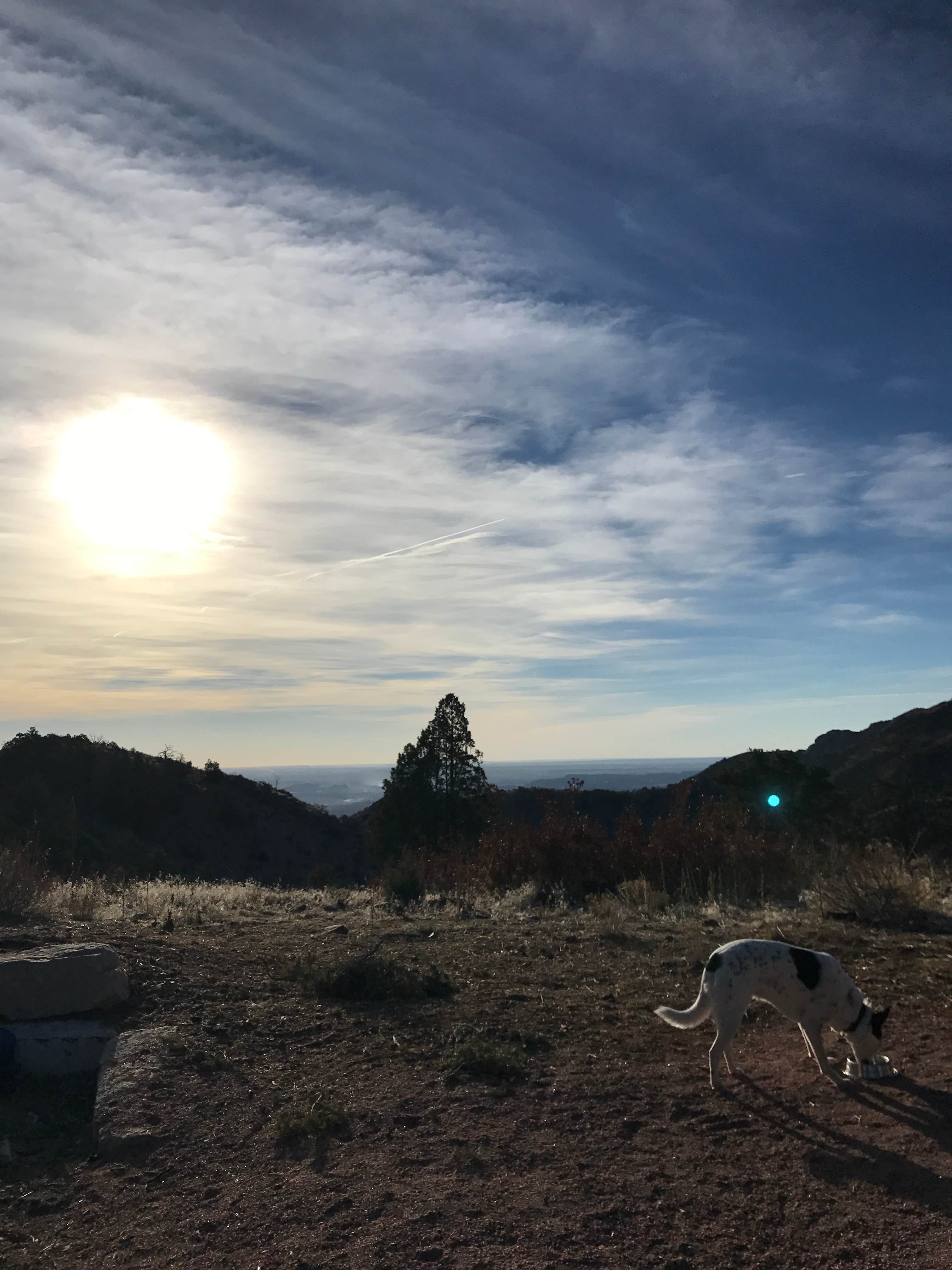 Sondra M.'s photo of camping with pets at East Ridge Campground in Royal Gorge near Cañon City, CO