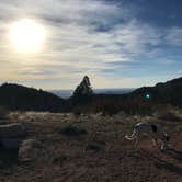 Review photo of East Ridge Campground in Royal Gorge by Sondra M., September 14, 2018