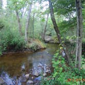 Review photo of Bertha Brock County Park by David F., September 13, 2018