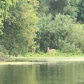 Review photo of Sleepy Hollow State Park Campground by David F., September 6, 2018