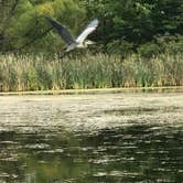 Review photo of Sleepy Hollow State Park Campground by David F., September 6, 2018