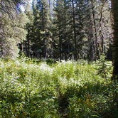Review photo of Monarch Lakes Backcountry Sites by Elliott B., August 9, 2016