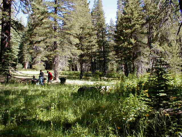 Camper-submitted photo at Monarch Lakes Backcountry Sites near Kaweah, CA