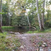 Review photo of Oakland Valley Campground by Jeanne-Marie P., September 14, 2018