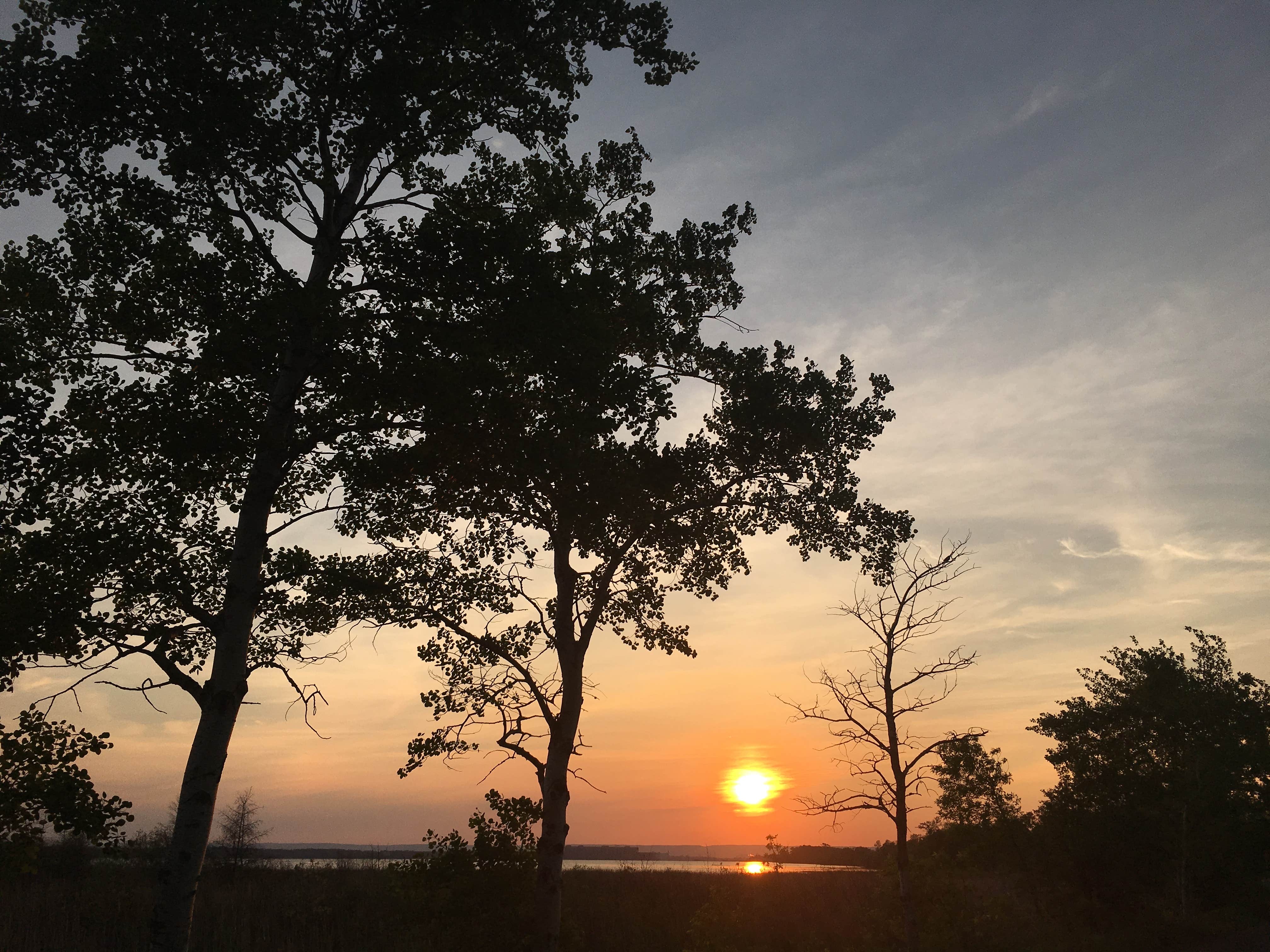 Camper submitted image from Superior National Forest Poplar River Rustic Campground - 2