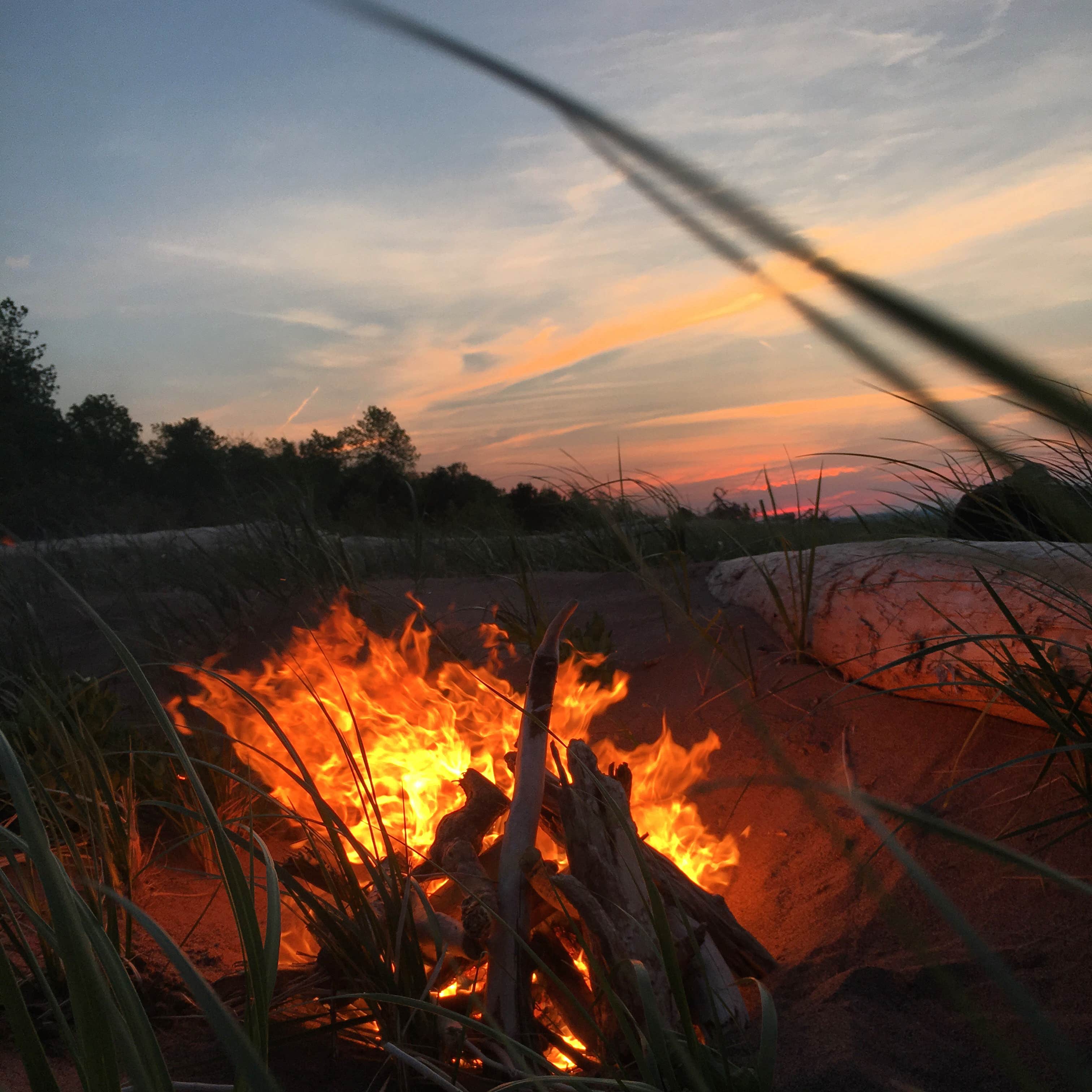 Camper submitted image from Superior National Forest Poplar River Rustic Campground - 1