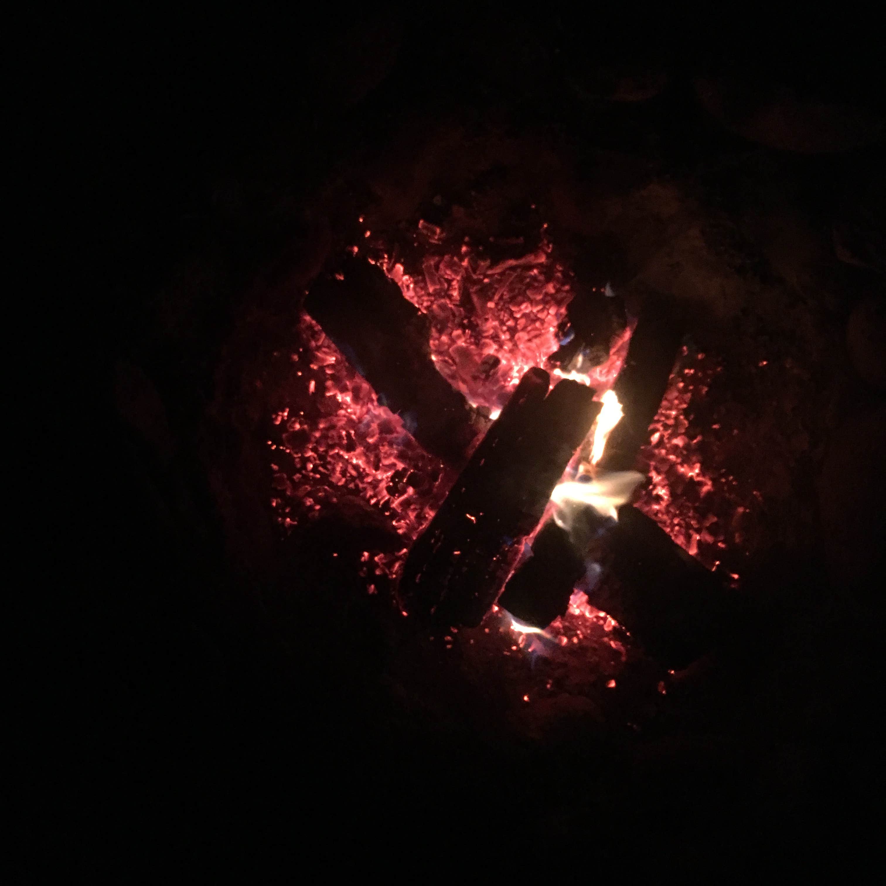 Camper-submitted photo at Clara Lake Rustic Campground near Tofte, MN