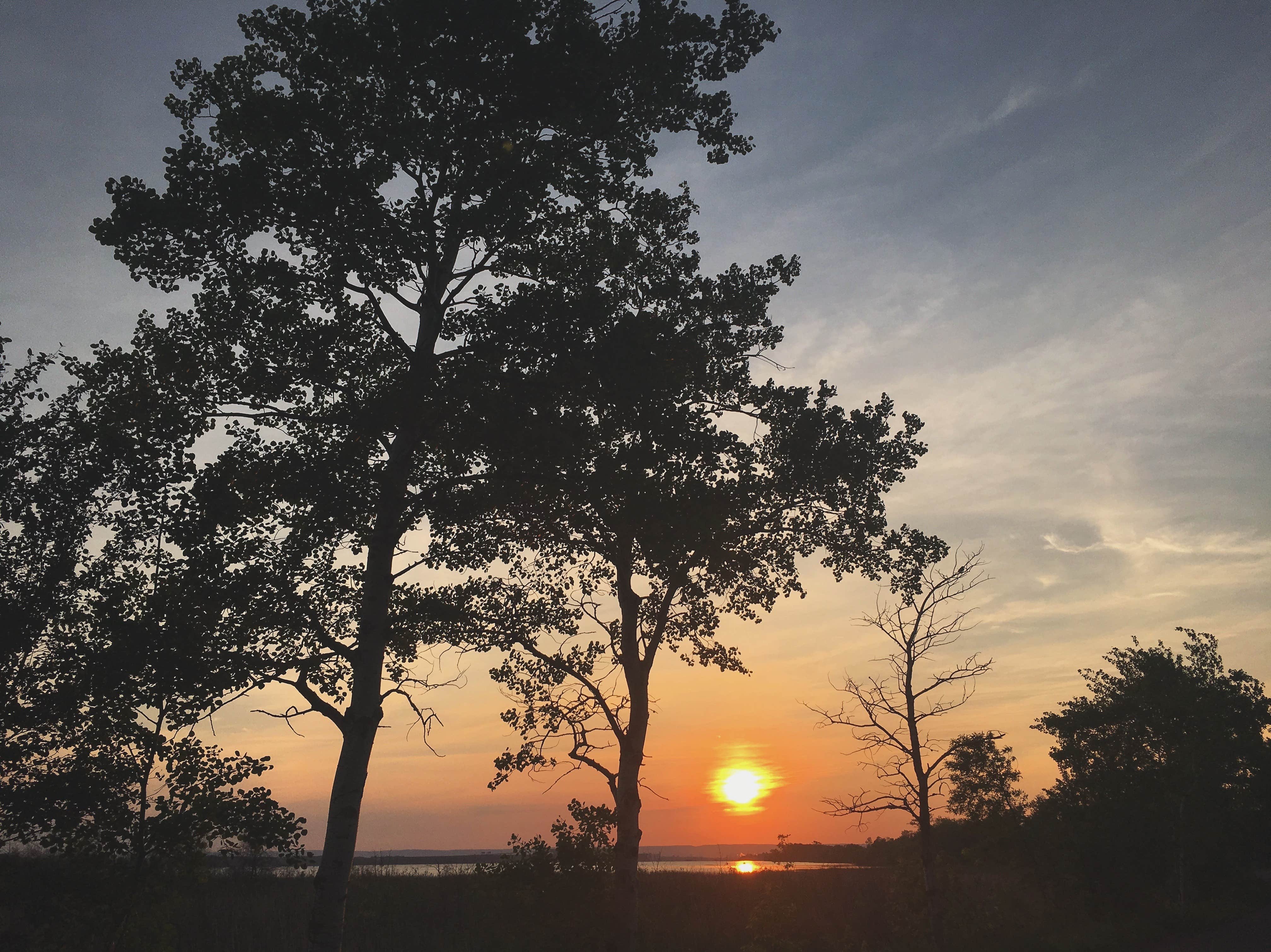 Lesley R.'s photo of a dispersed camping area at State Land Lax Lake Area - Dispersed Camping near Tofte, MN