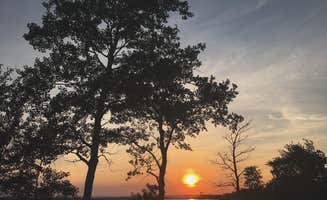 Lesley R.'s photo of a dispersed camping area at State Land Lax Lake Area - Dispersed Camping near Finland, MN