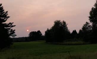 Lesley R.'s photo of a dispersed camping area at State Land Lax Lake Area - Dispersed Camping in Minnesota