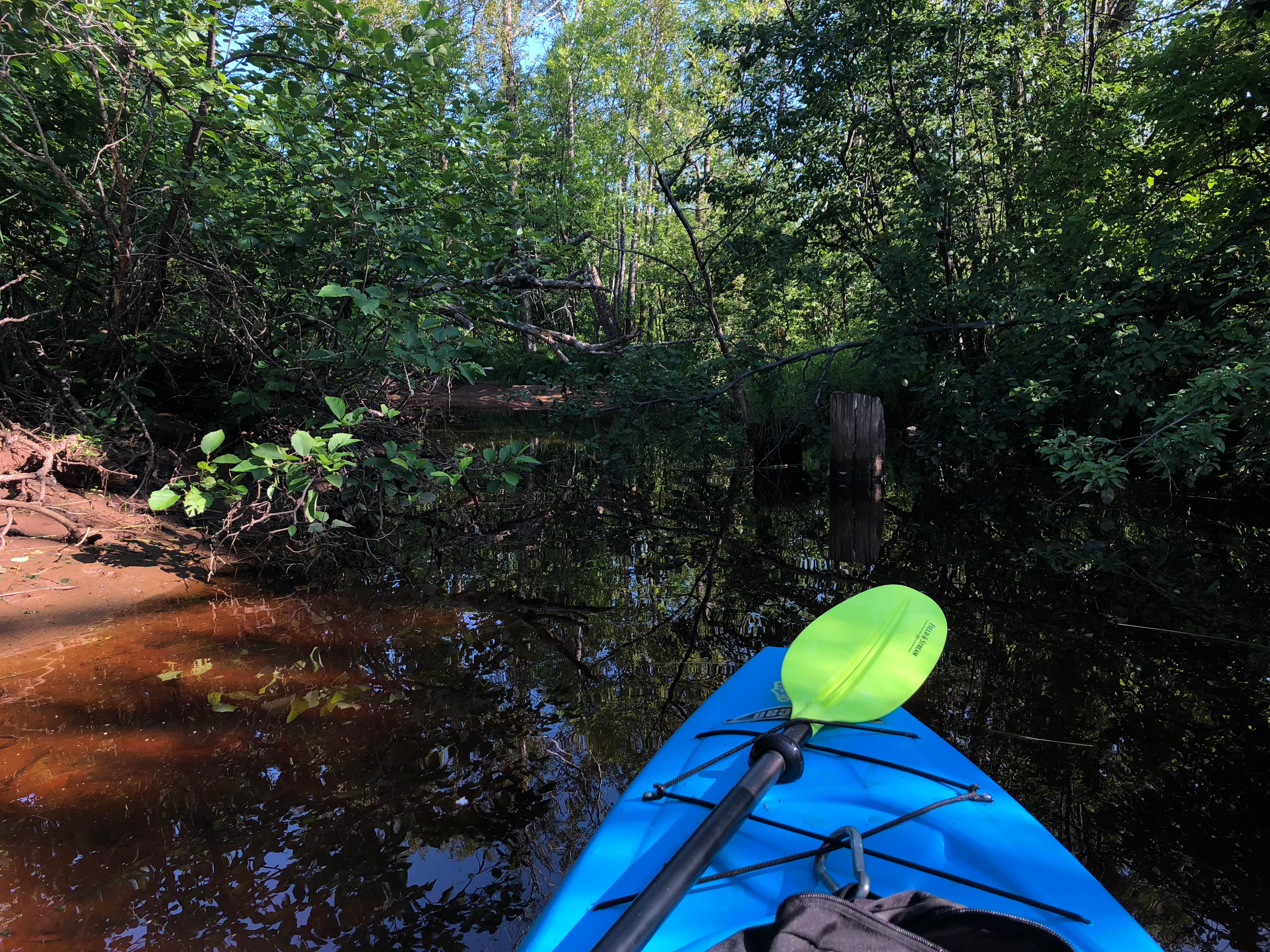 Camper submitted image from State Land Lax Lake Area - Dispersed Camping - 5