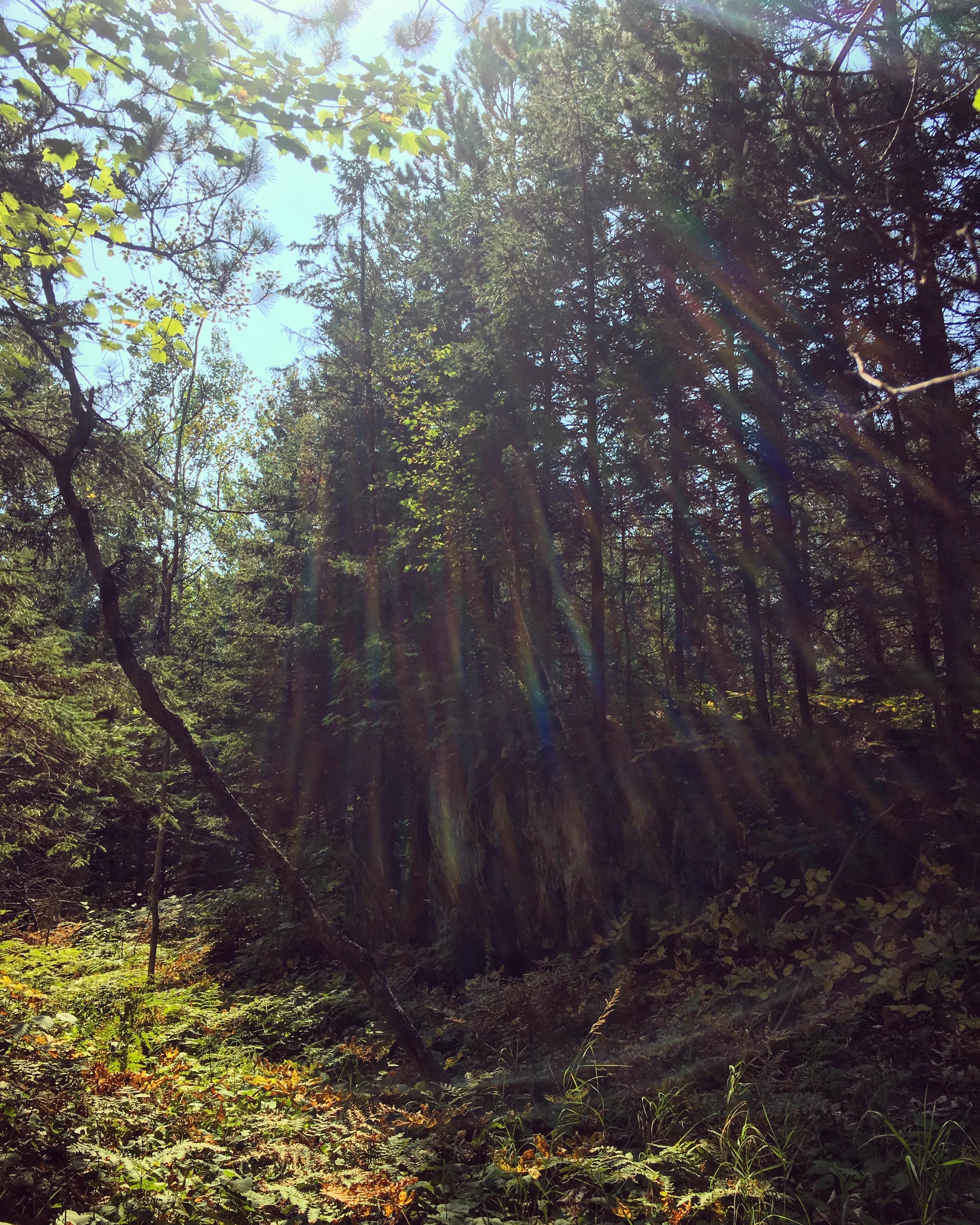 Camper-submitted photo at Superior National Forest McDougal Lake Campground near Babbitt, MN