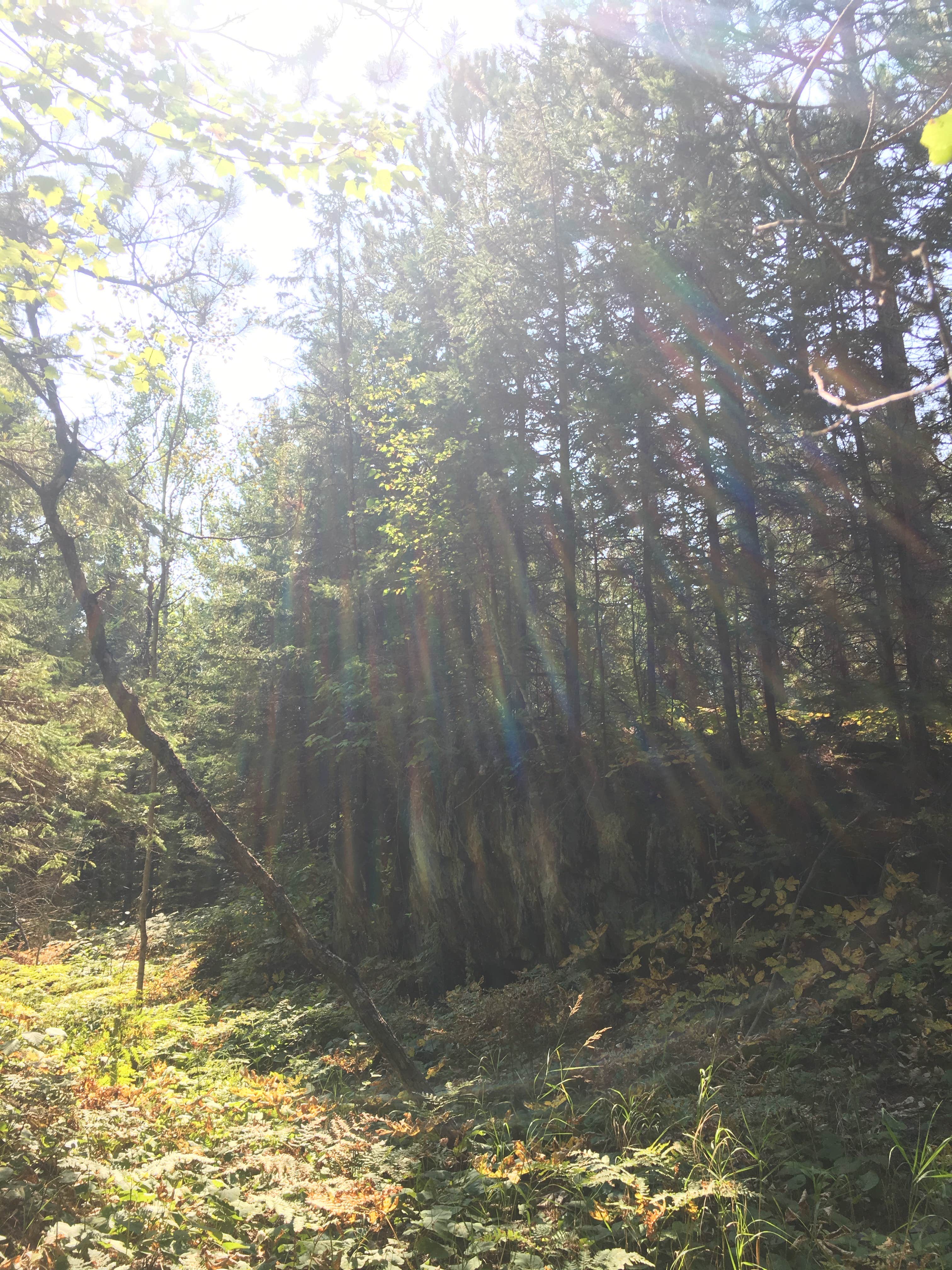 Camper-submitted photo at Superior National Forest McDougal Lake Campground near Babbitt, MN