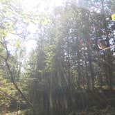 Review photo of Superior National Forest McDougal Lake Campground by Lesley R., November 5, 2022