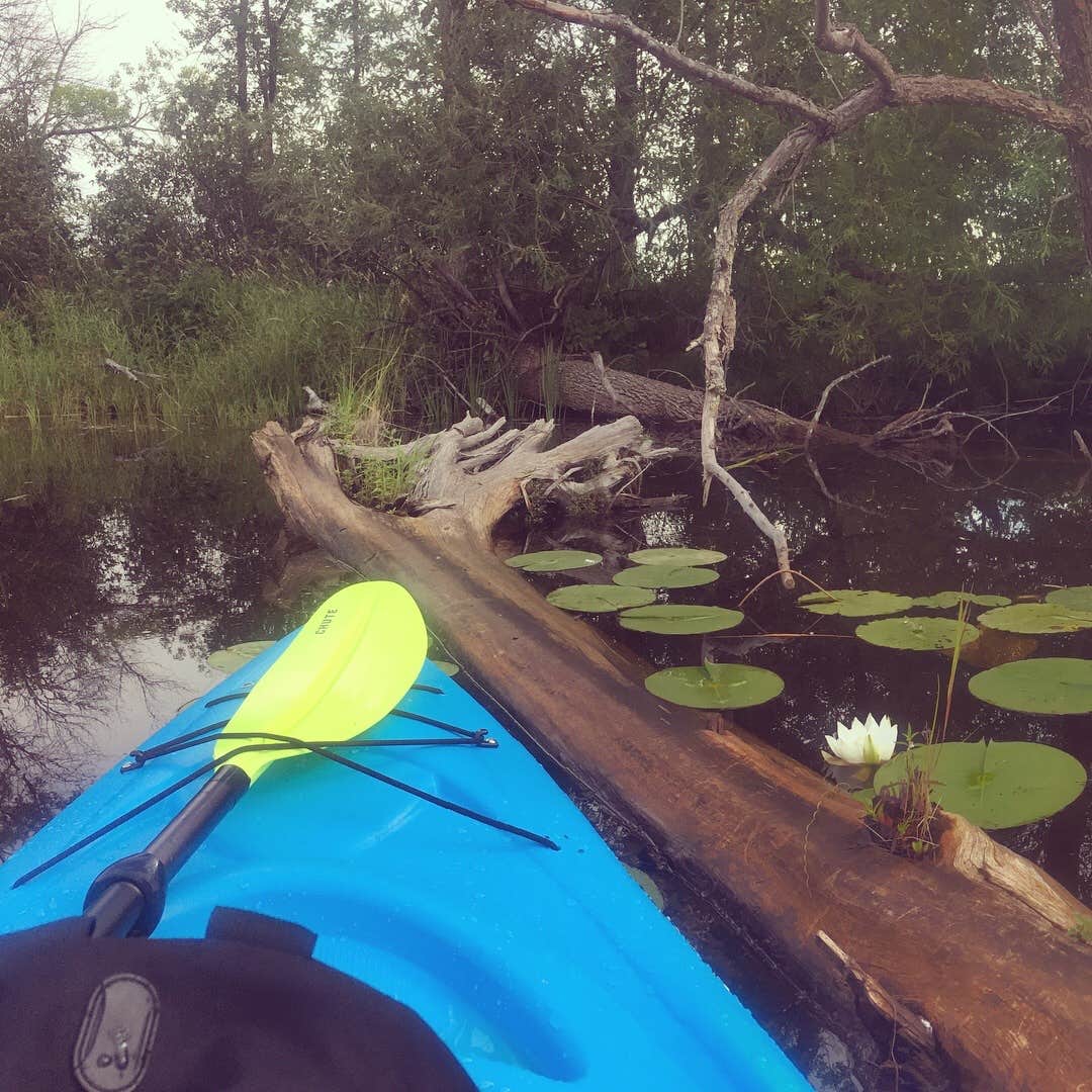 Camper submitted image from Superior National Forest McDougal Lake Campground - 4