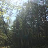 Review photo of Superior National Forest McDougal Lake Campground by Lesley R., November 5, 2022