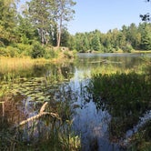 Review photo of Superior National Forest McDougal Lake Campground by Lesley R., November 5, 2022