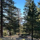 Review photo of Lightning Point Group Campground by Joe B., November 5, 2022