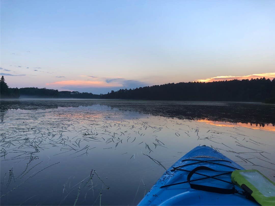 Camper submitted image from Section 29 Lake Rustic Campground - 2