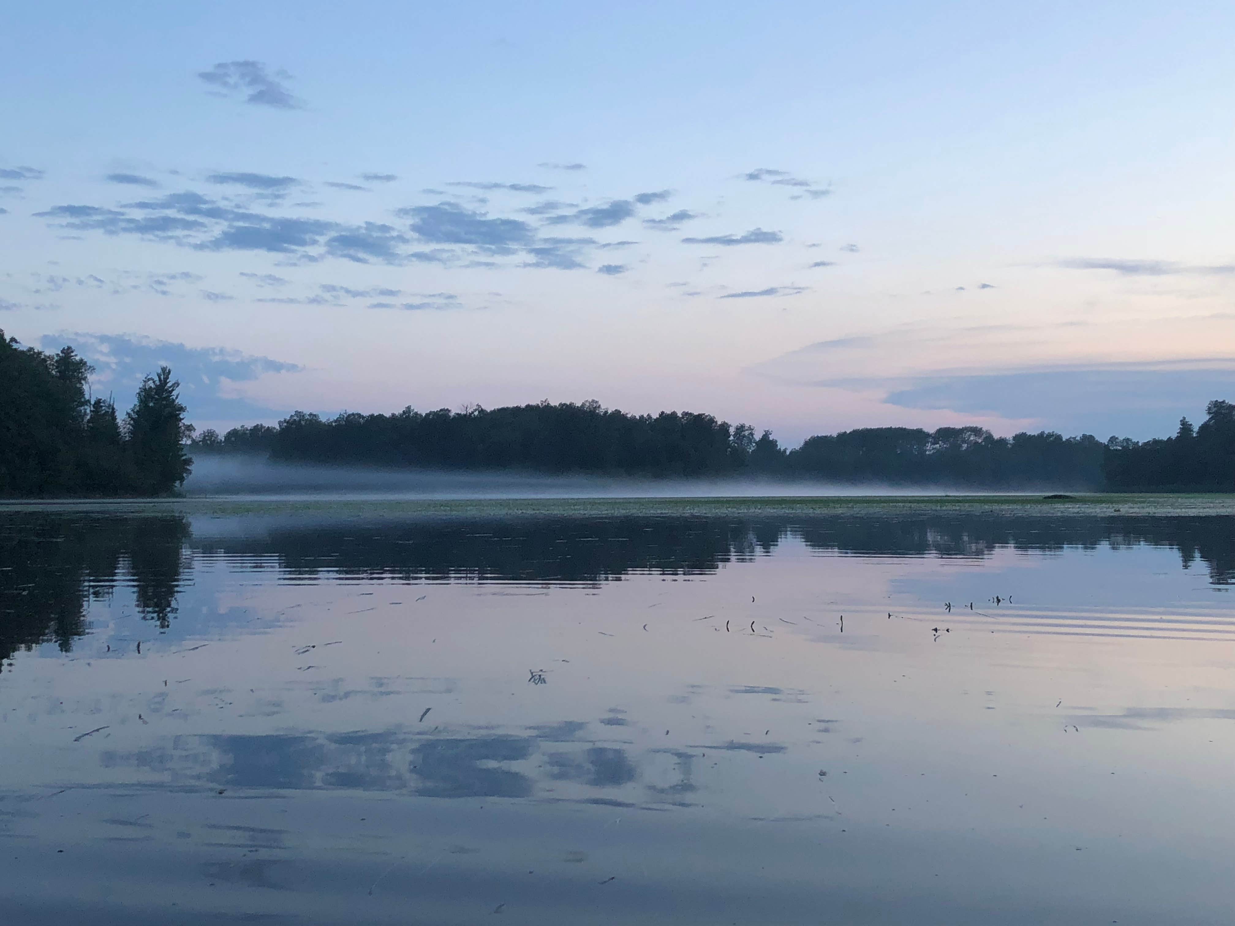 Camper submitted image from Section 29 Lake Rustic Campground - 5