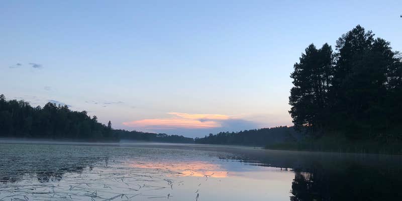 Camper submitted image from Section 29 Lake Rustic Campground