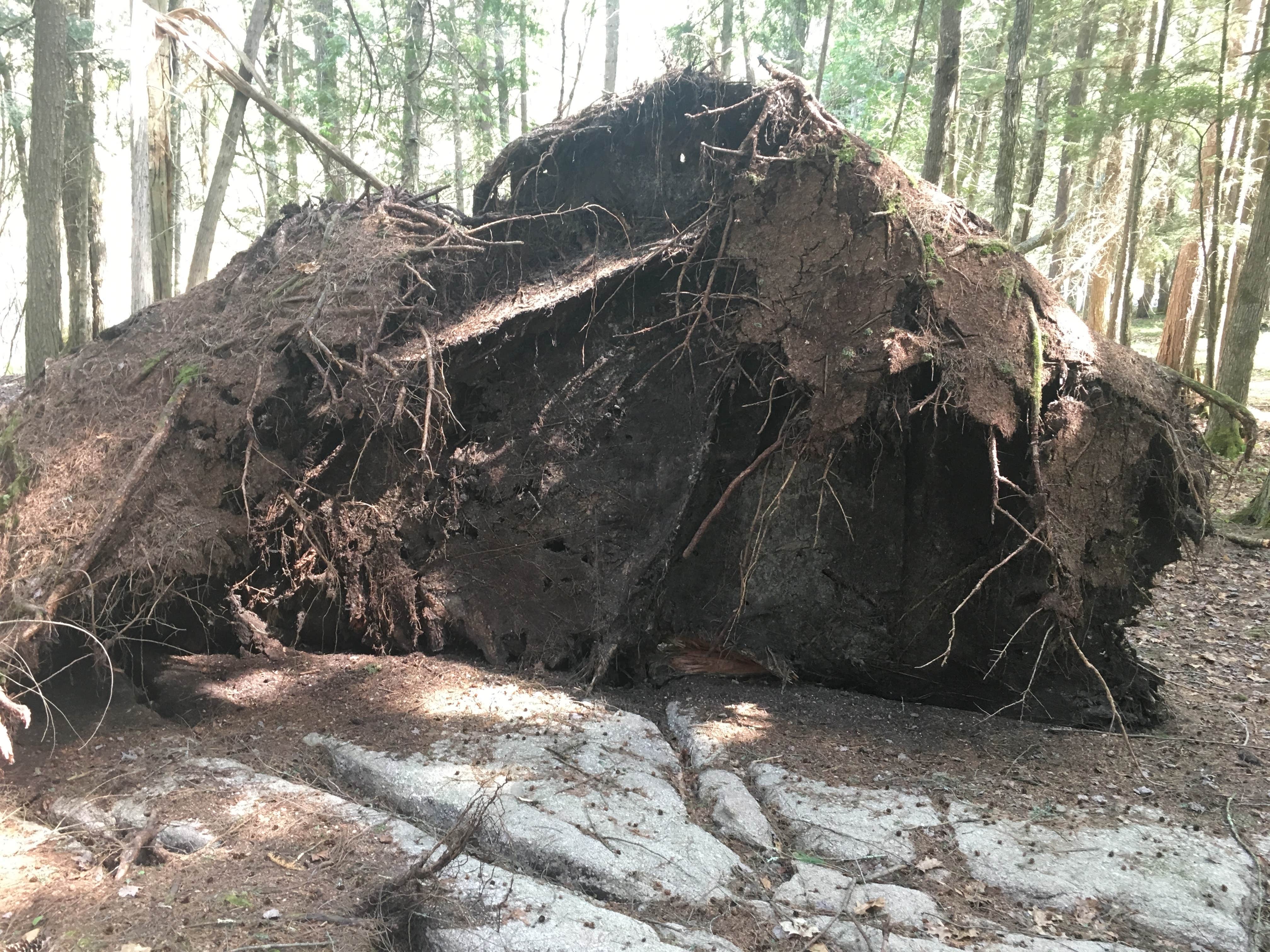 Camper-submitted photo at Windy Lake Rustic Campground & Back Country Sites near Tofte, MN