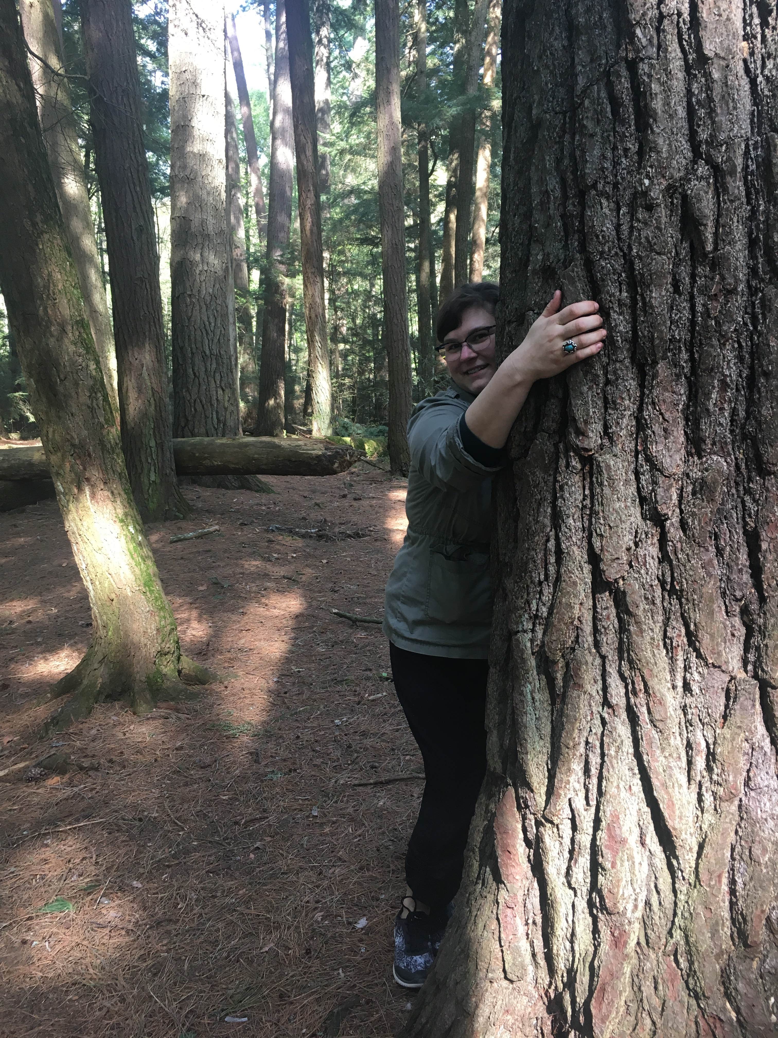 Camper-submitted photo at Windy Lake Rustic Campground & Back Country Sites near Tofte, MN