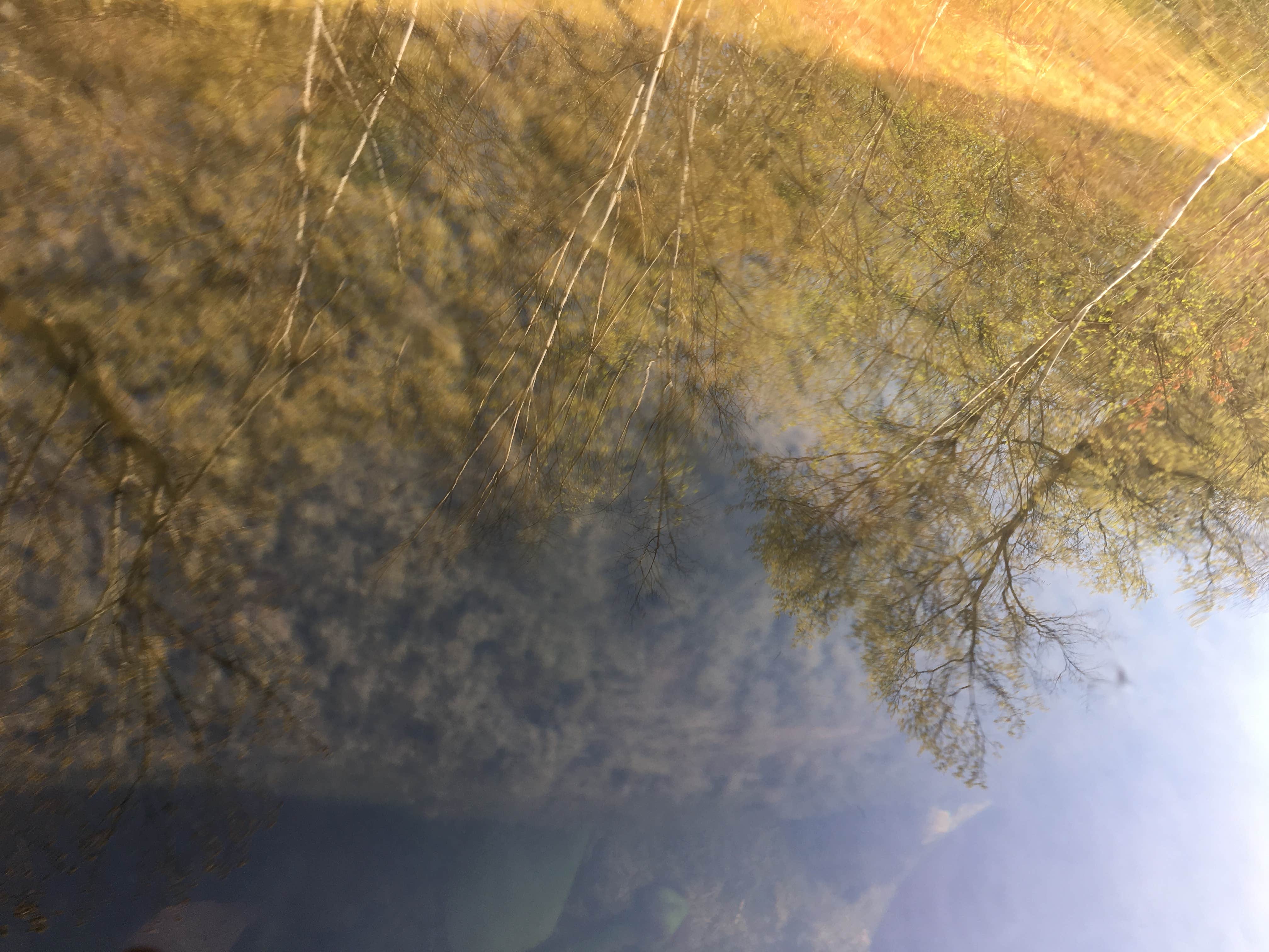 Camper-submitted photo at Windy Lake Rustic Campground & Back Country Sites near Tofte, MN