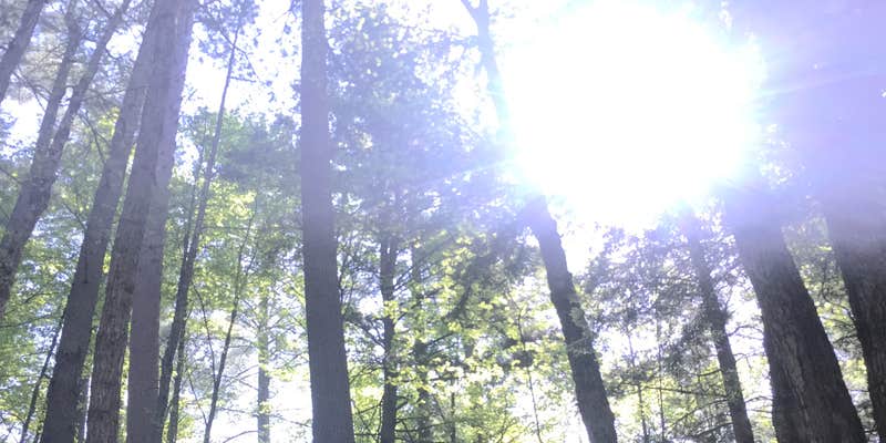 Camper submitted image from Windy Lake Rustic Campground & Back Country Sites