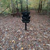 Review photo of Chopawamsic Backcountry Camping Permits — Prince William Forest Park by Marvin D., November 5, 2022