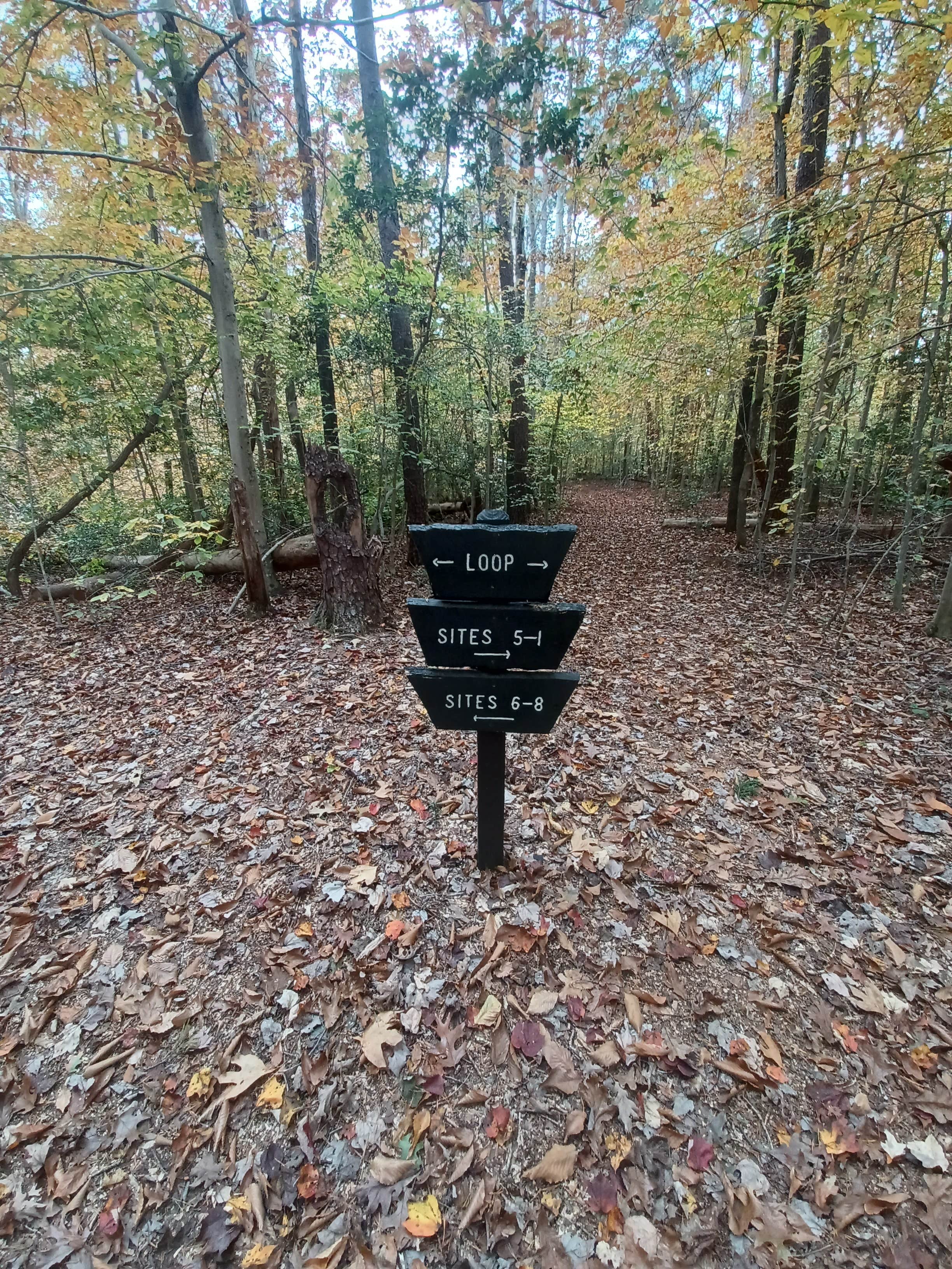 Camper submitted image from Chopawamsic Backcountry Camping Permits — Prince William Forest Park - 4