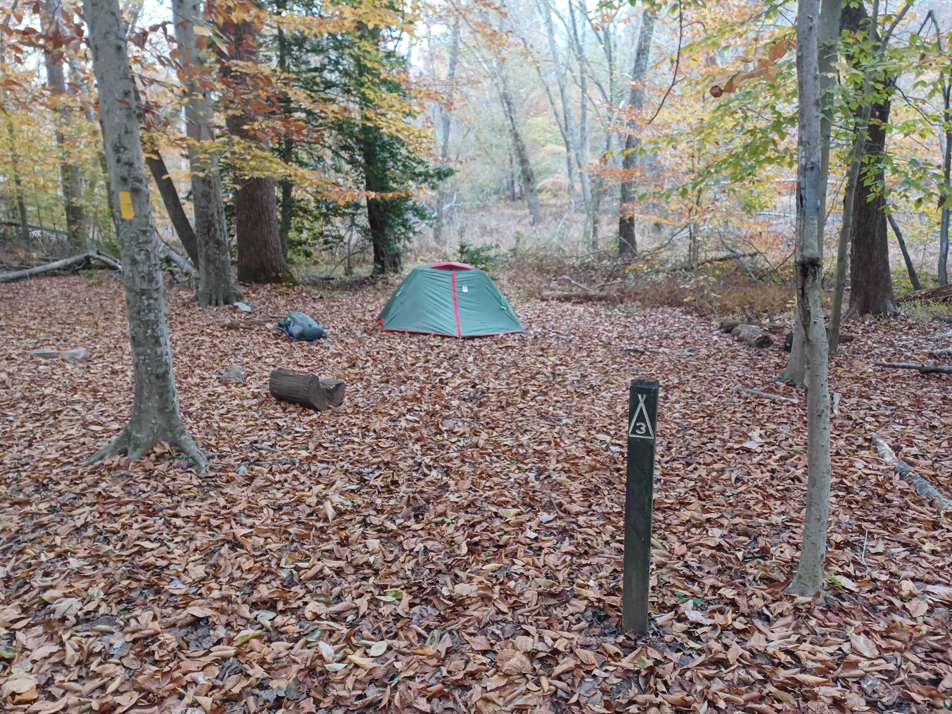 Marvin D.'s photo of tent camping at Chopawamsic Backcountry Camping Permits — Prince William Forest Park near Culpeper, VA