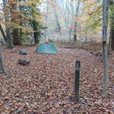 Review photo of Chopawamsic Backcountry Camping Permits — Prince William Forest Park by Marvin D., November 5, 2022