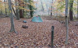 Marvin D.'s photo at Chopawamsic Backcountry Camping Permits — Prince William Forest Park near King George, VA