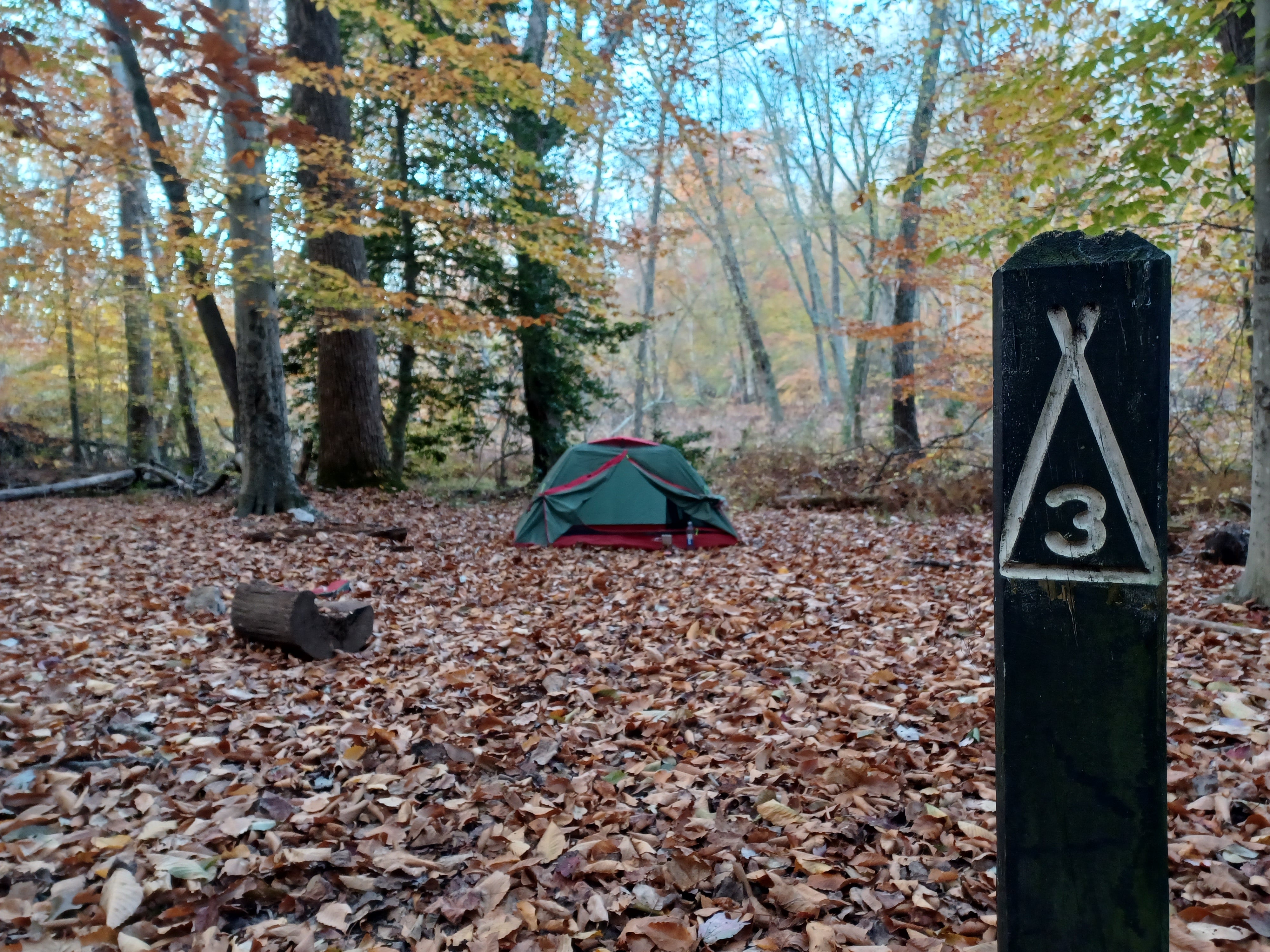 Camper submitted image from Chompawamsic Backcountry Area — Prince William Forest Park - 1