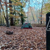 Review photo of Chompawamsic Backcountry Area — Prince William Forest Park by Marvin D., November 5, 2022