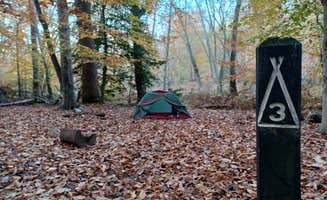 Marvin D.'s photo of tent camping at Chopawamsic Backcountry Camping Permits — Prince William Forest Park near Marbury, MD