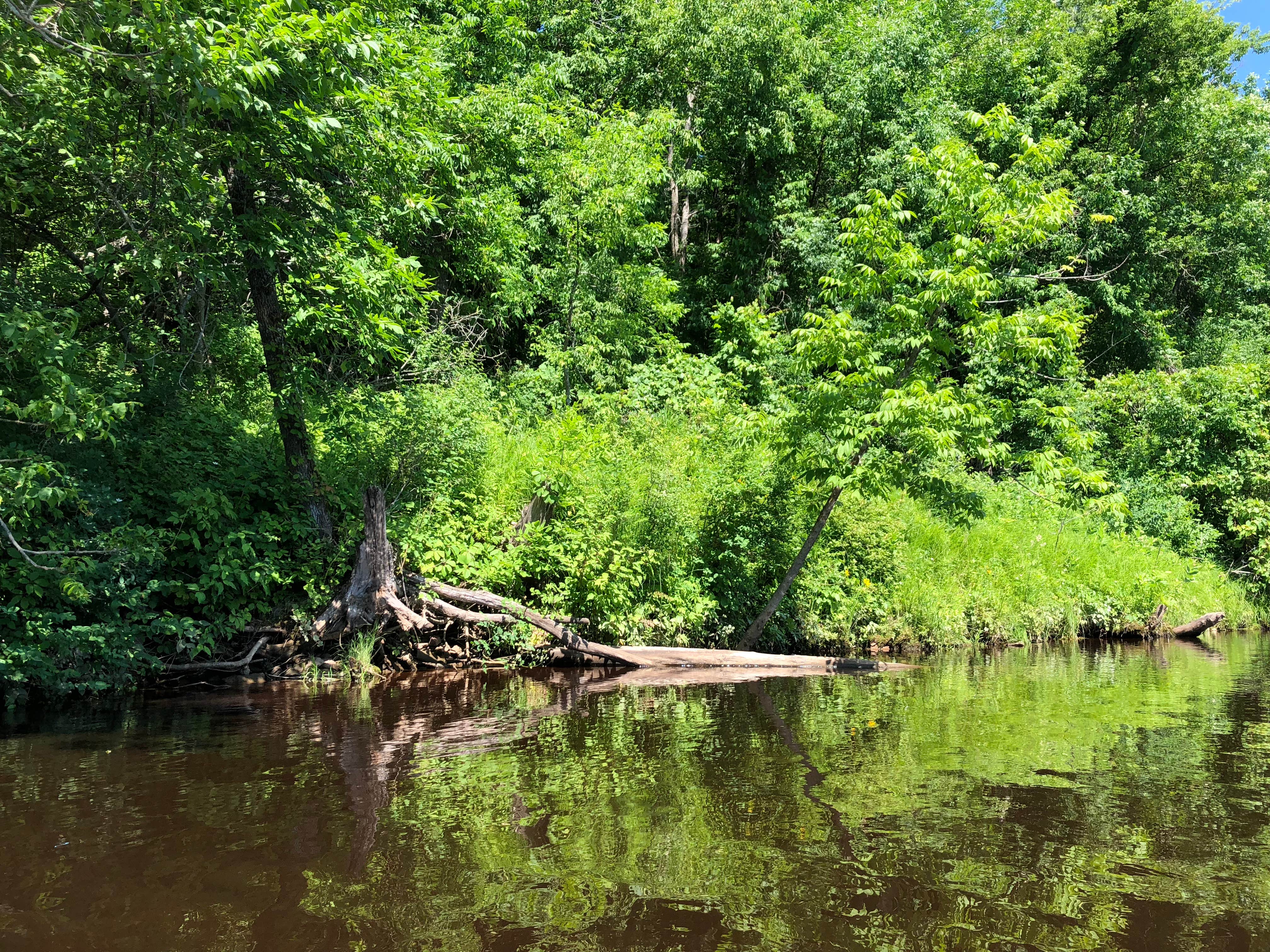 Camper-submitted photo at Knife Island Campground near Cloquet, MN