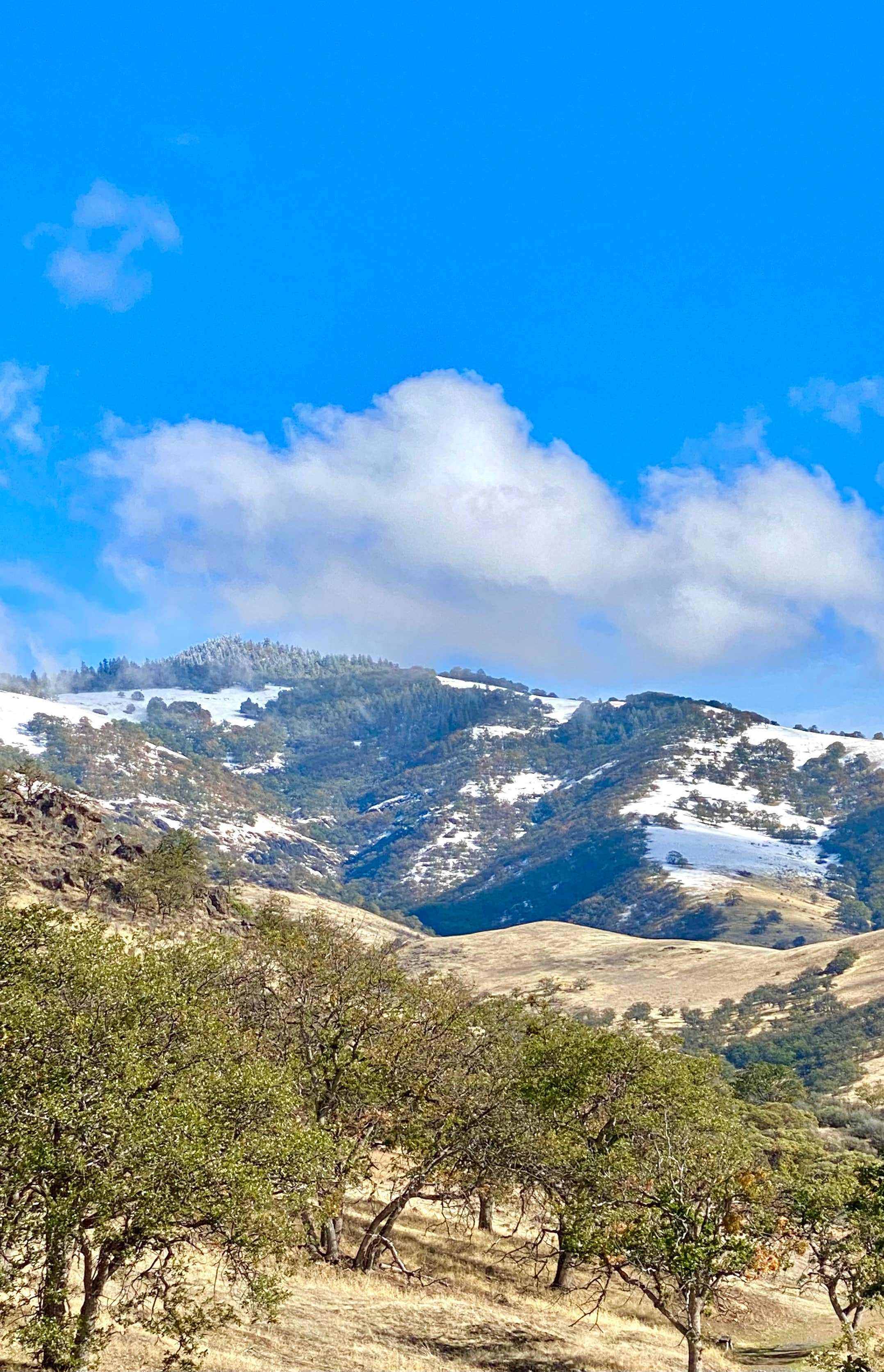 Camper-submitted photo at Point RV Park at Emigrant Lake near Medford, OR