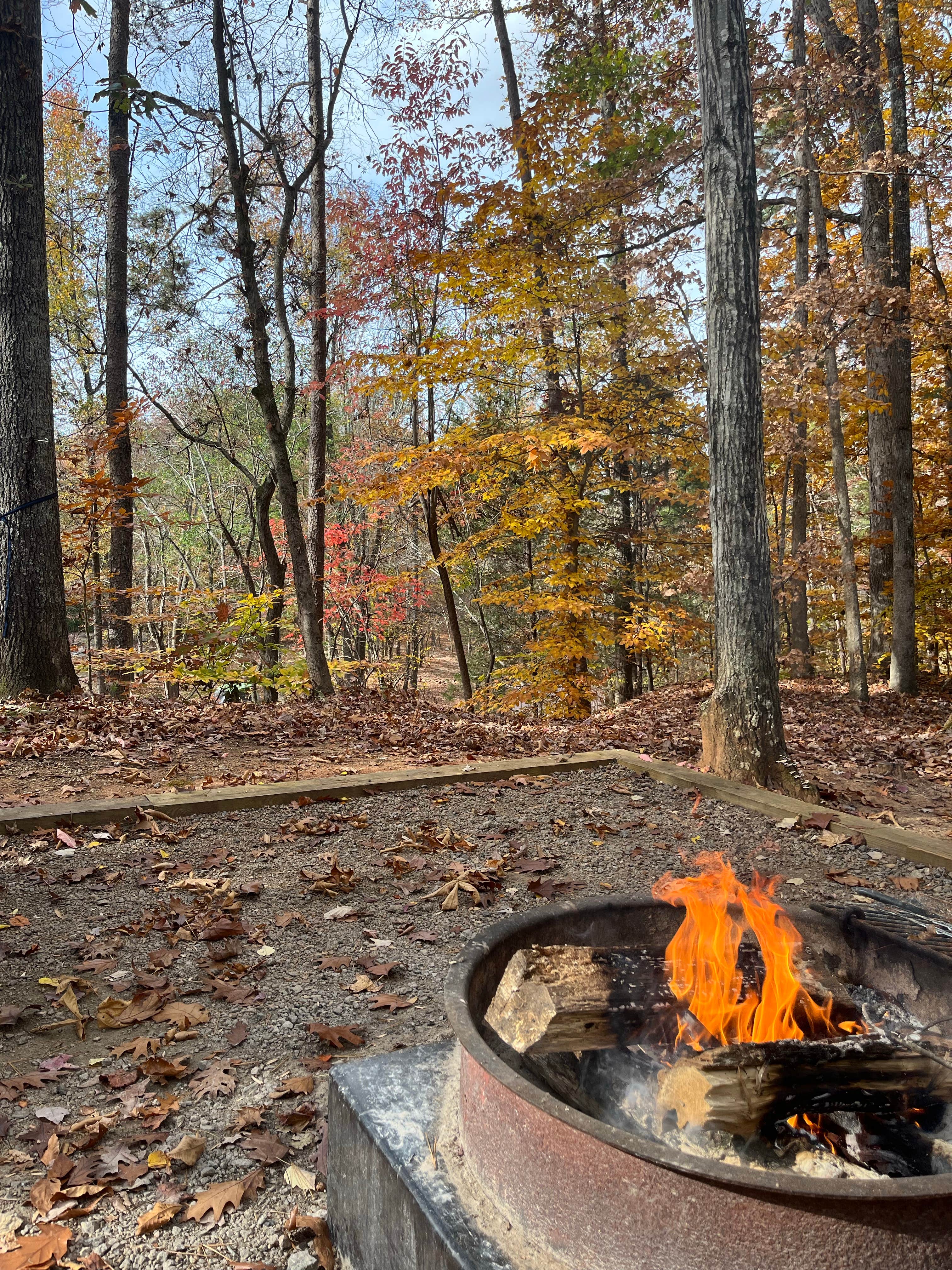 Camper submitted image from Lake Curriher Wilderness - 4