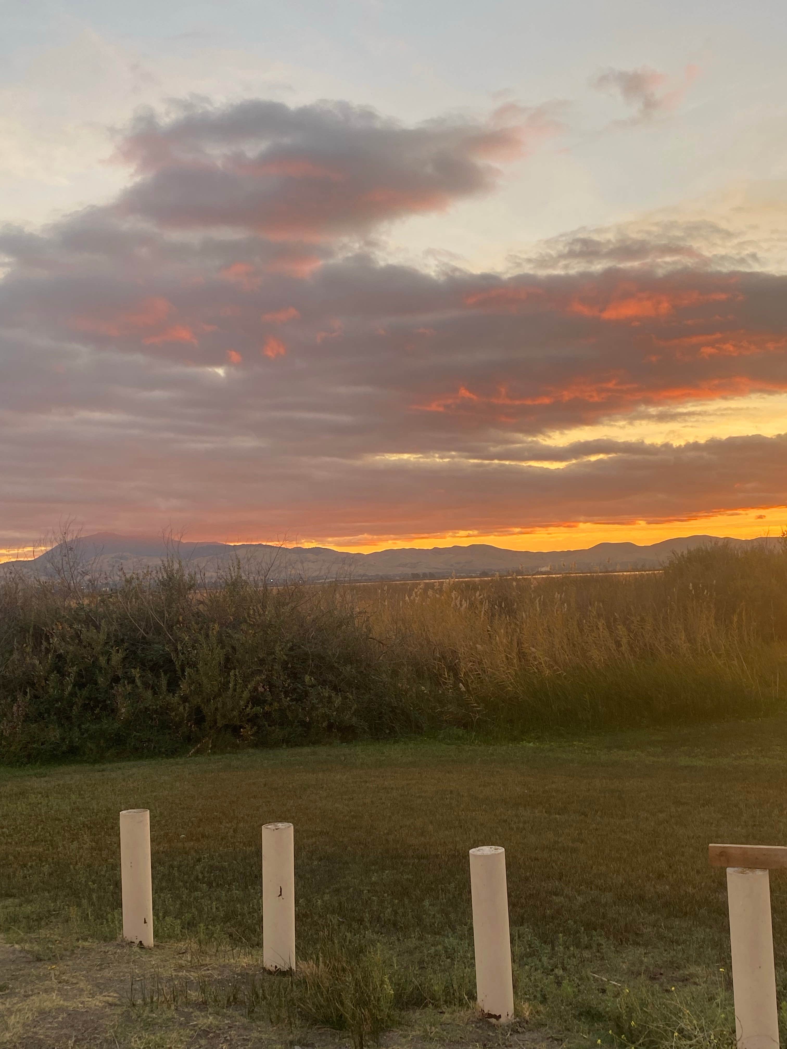 Camper-submitted photo at Sherman Lake Marina near Bay Point, CA