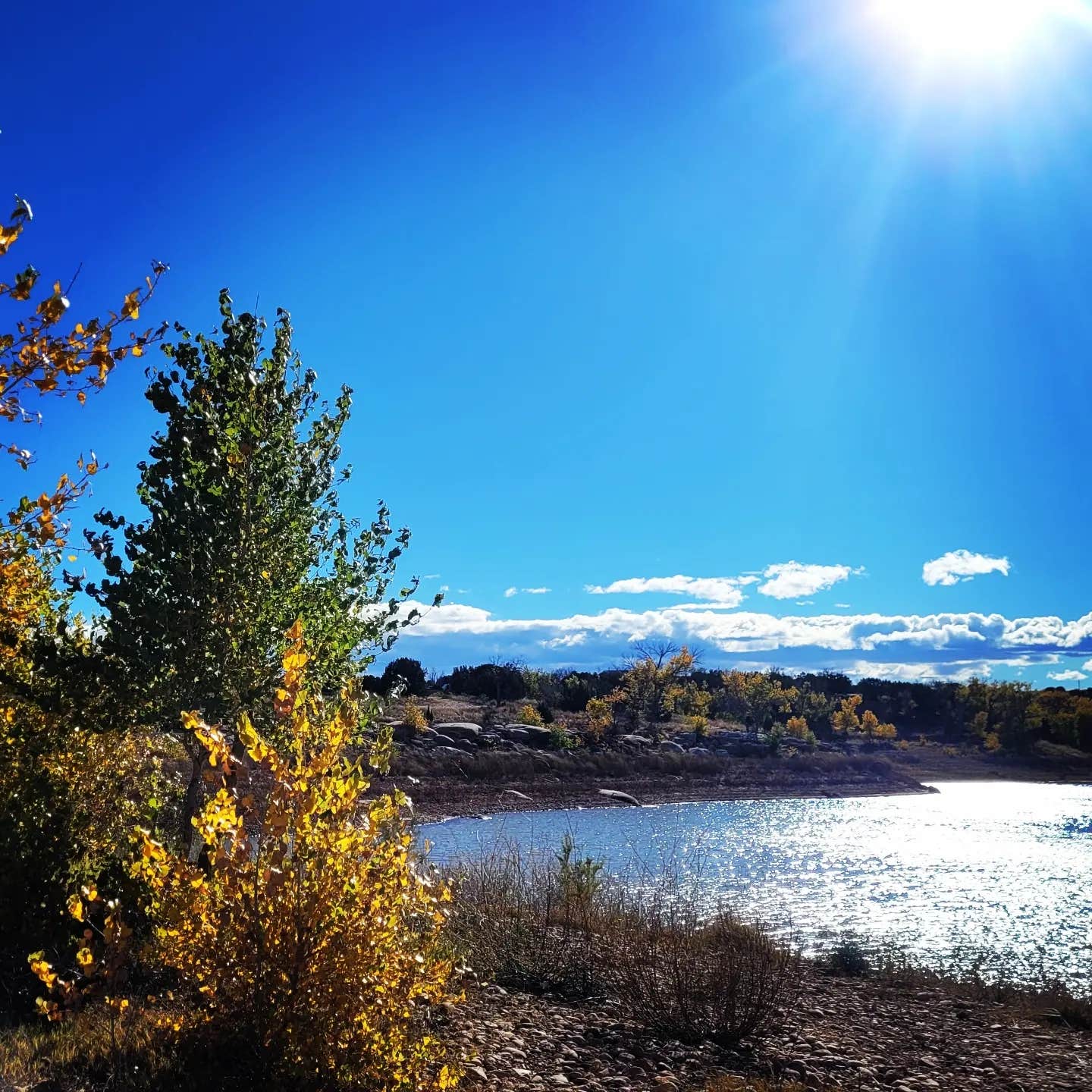 Camper-submitted photo at Pecos Campground — Sumner Lake State Park near Santa Rosa, NM