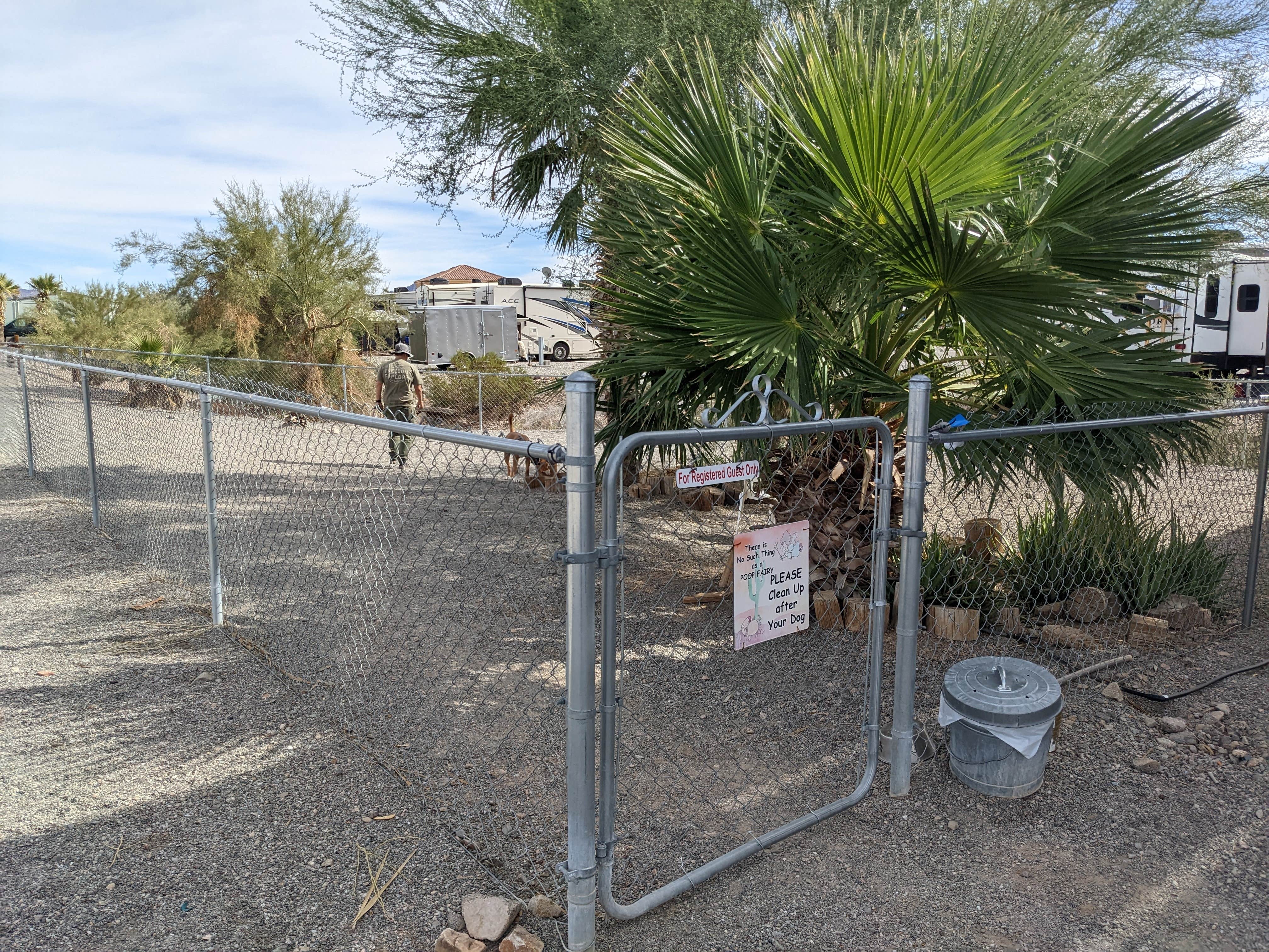 Laura M.'s photo of camping with pets at Park Place RV Park near Salome, AZ