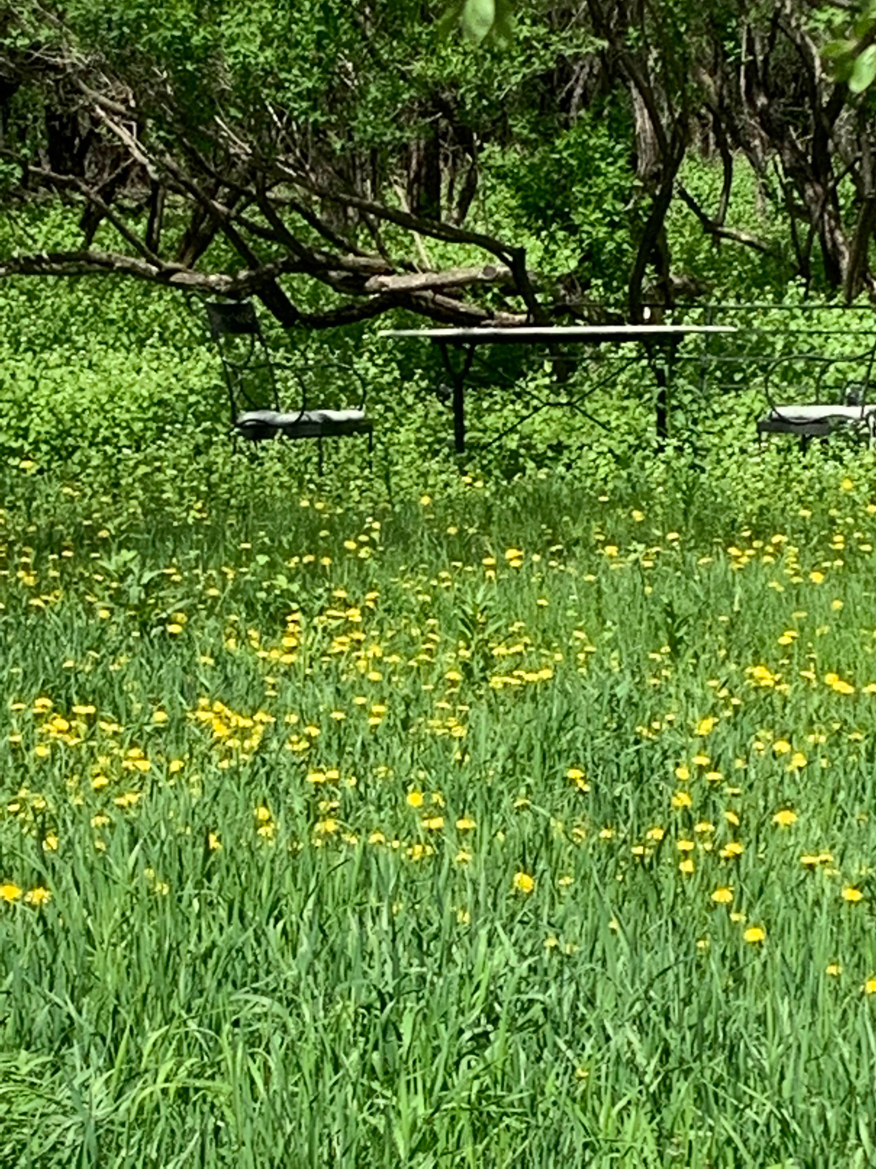 Camper-submitted photo at Easton Castle/O-TE-LA Castle Campground Forest near Aberdeen, SD