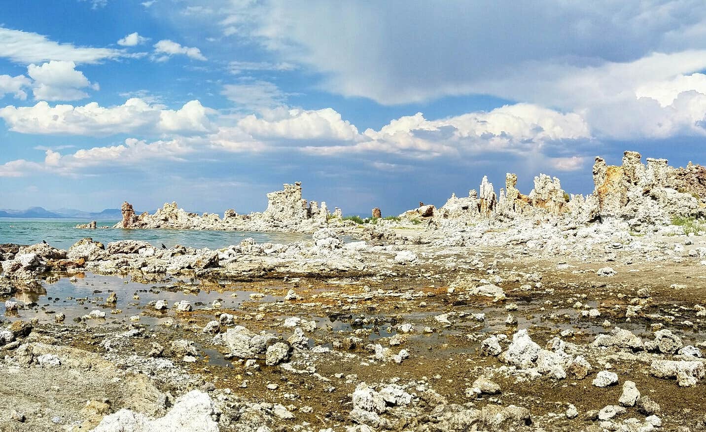 Camper-submitted photo at Aspen Campground near Lee Vining, CA