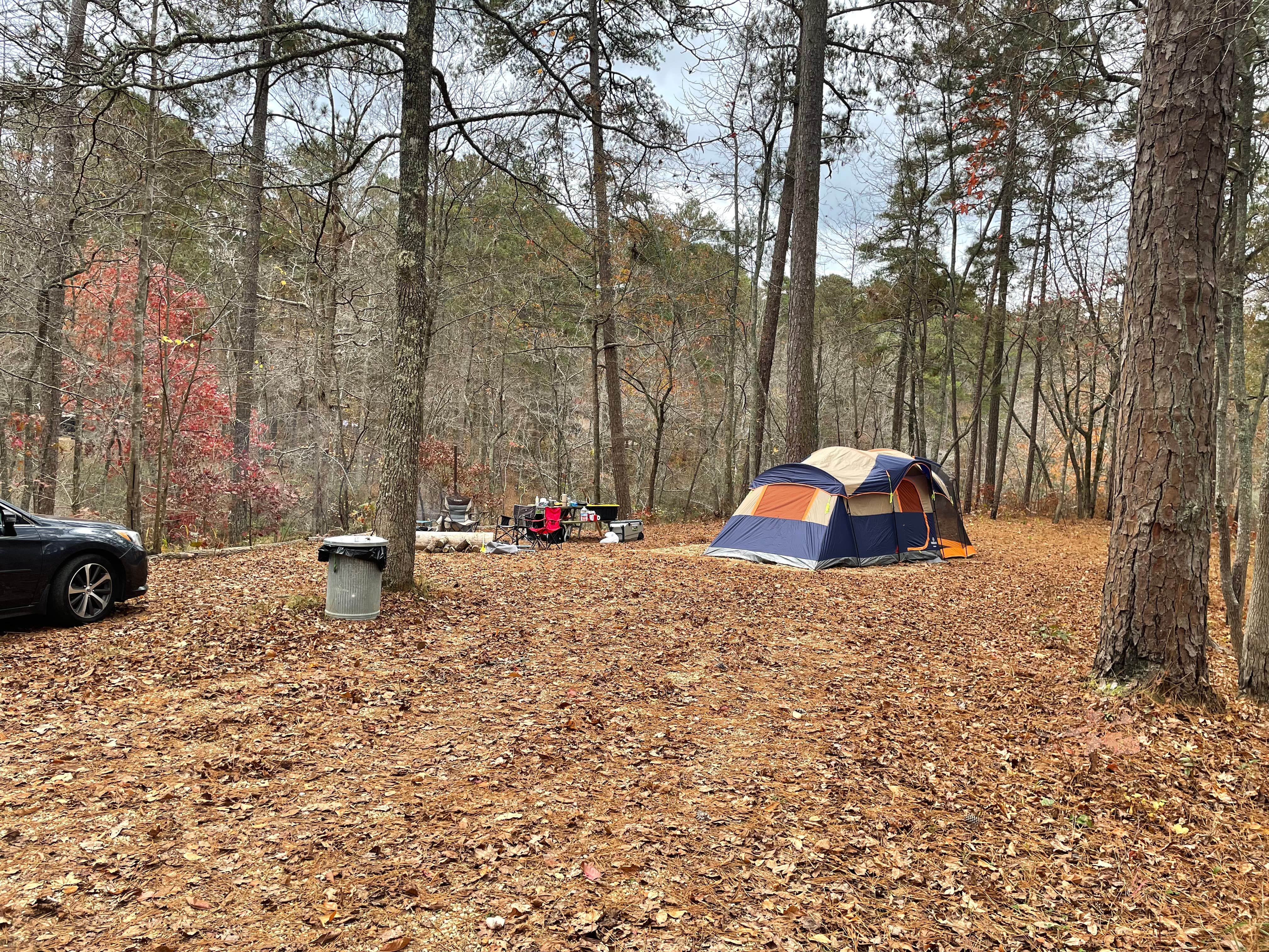 Camper-submitted photo at Coleman Lake Rec Area near Jacksonville, AL