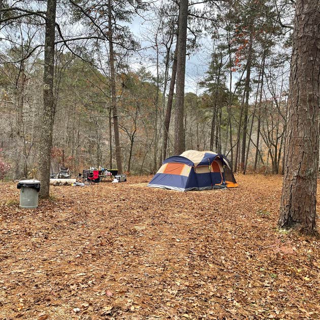 Coleman Lake Rec Area Camping | The Dyrt